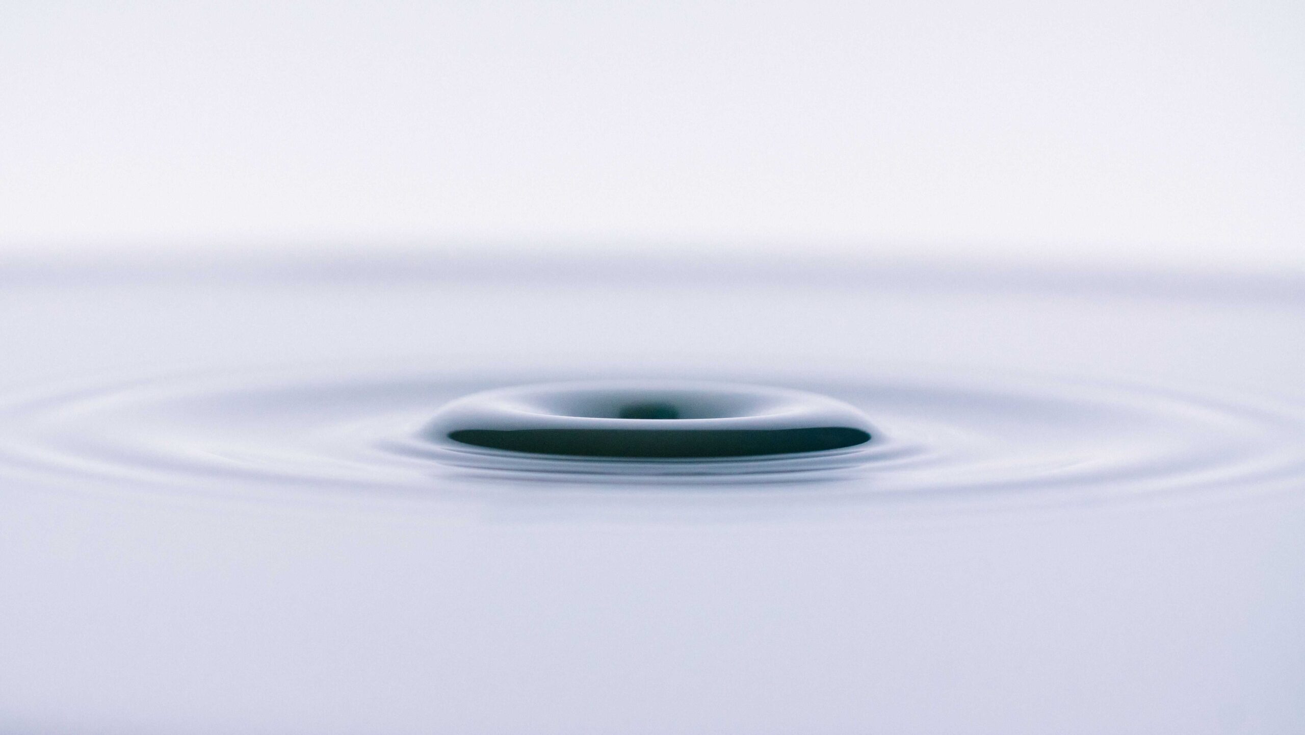 Expanding ripples across calm water after an object has fallen.
