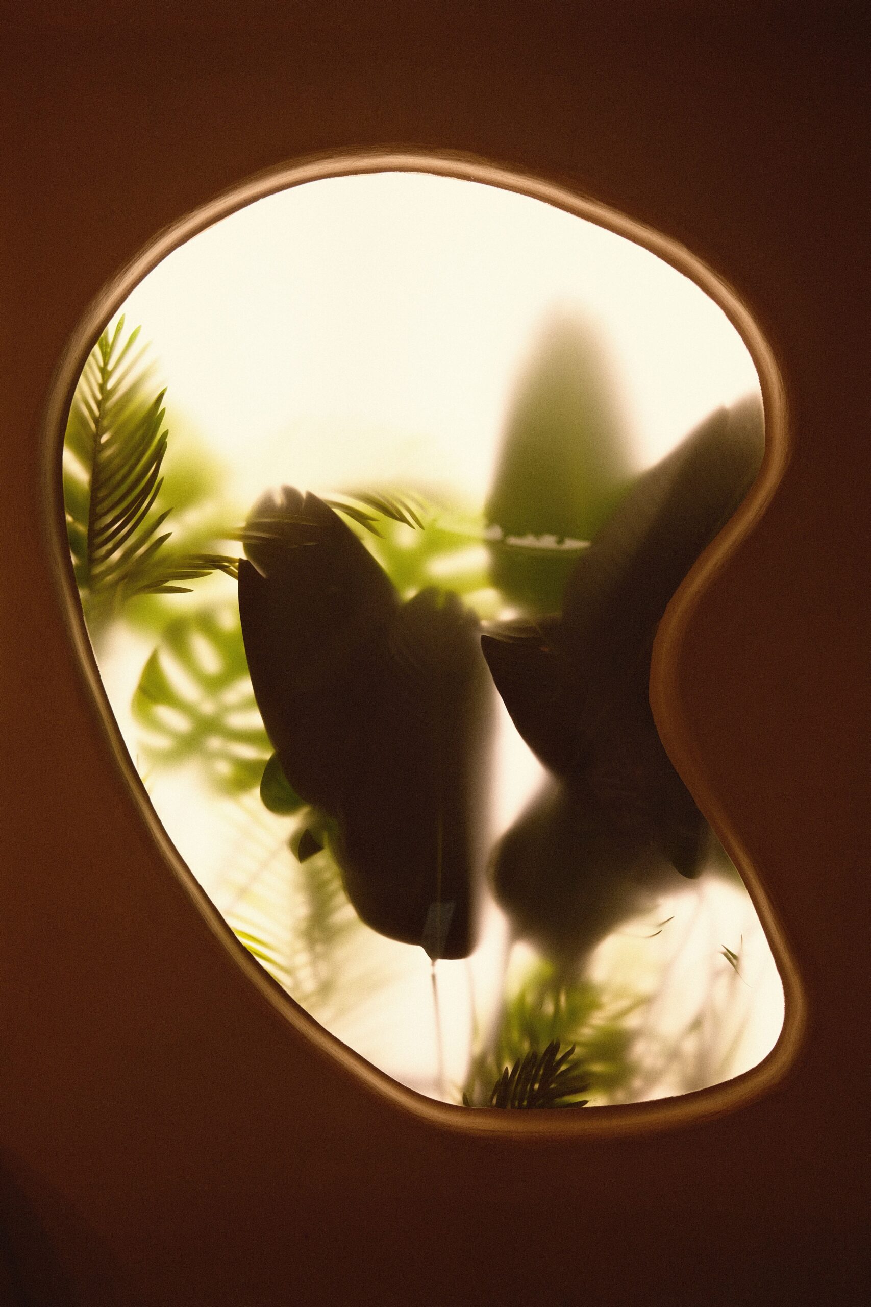 Irregular clay-colored window with organic greenery representing a distinctive wellness identity